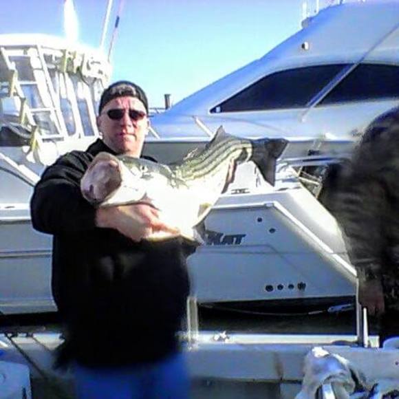 Meet your Posher, Thomas - Picture 1 of 1